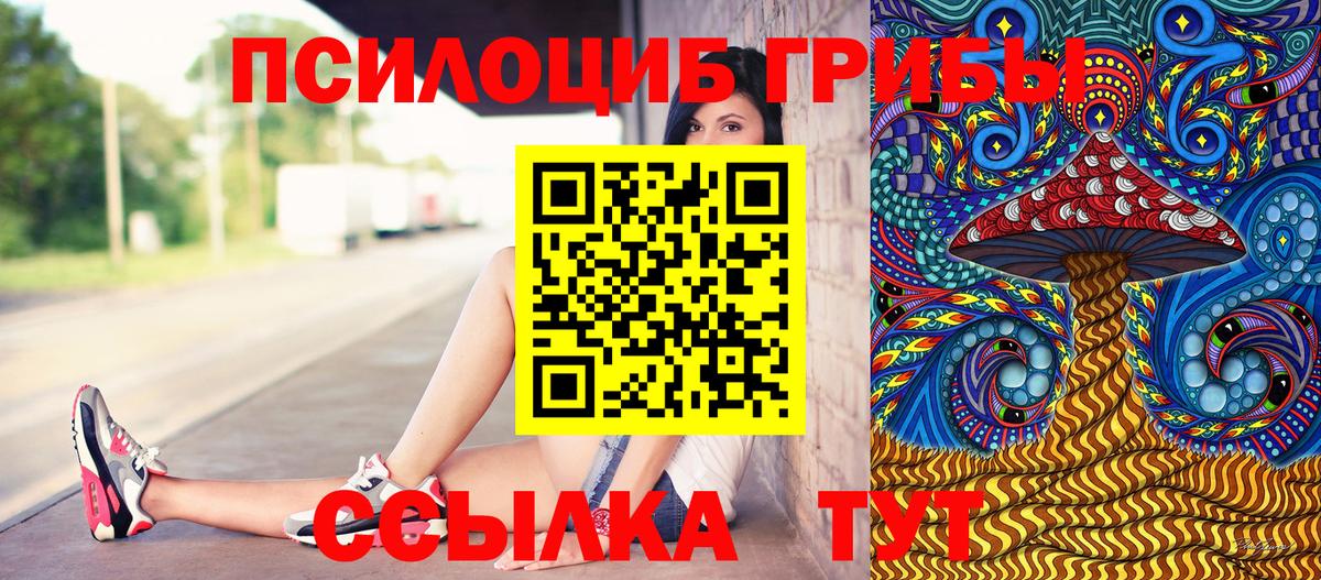 Псилоцибиновые грибы GOLDEN TEACHER Дзержинск
